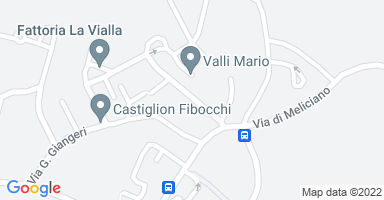 Posizione Immobile Villetta a schiera Castiglion Fibocchi 4982