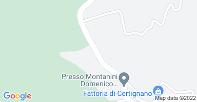 Posizione Immobile Colonica Castelfranco Piandiscò 6980