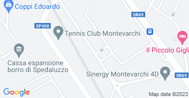 Posizione Immobile Locale commerciale Negozio Montevarchi 7217