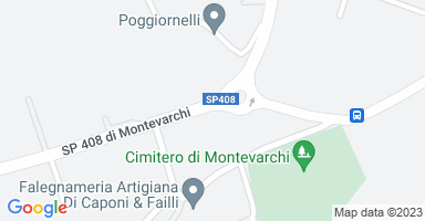 Posizione Immobile Appartamento Montevarchi 7518