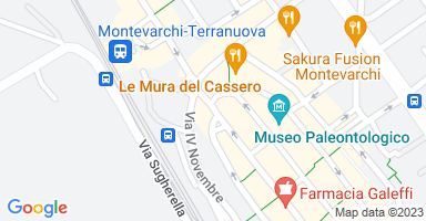 Posizione Immobile Appartamento Montevarchi 7640